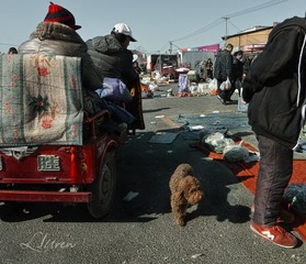 SDIM8265大2_88-00
