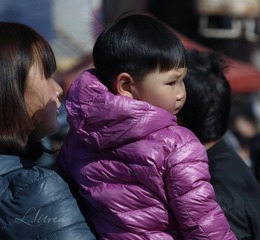 SDIM8159大_88-00