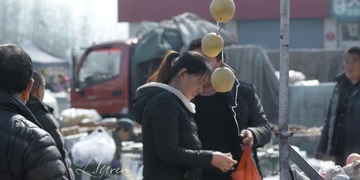 SDIM8649_88-00