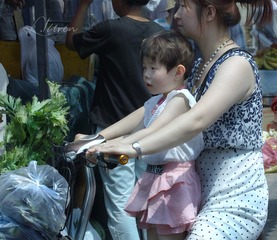 SDIM8431大_88-00