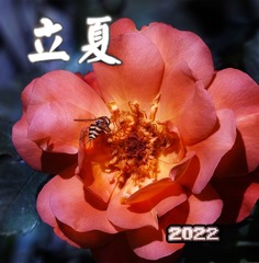 CFFD7C2D-9F39-45E4-B789-E6835E924308/L0/001