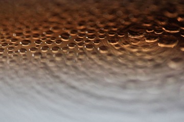_MG_5865.jpg
