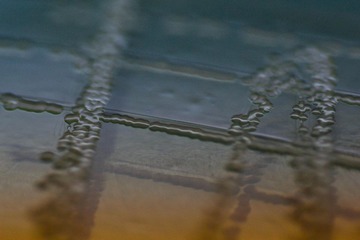_MG_5875.jpg