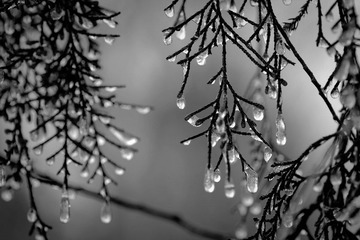 _MG_6068.jpg