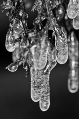_MG_6076.jpg