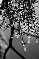 _MG_6102.jpg