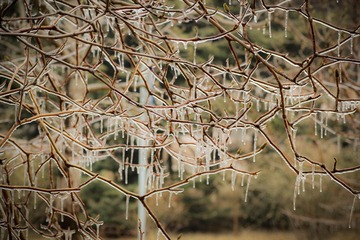 _MG_6121.jpg