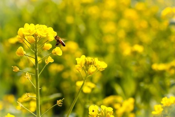 _MG_9710.jpg