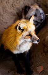 _MG_9338.jpg