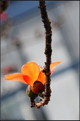 DSC_3709.jpg
