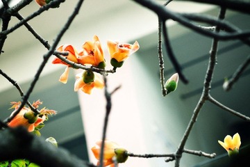 DSC_4174.jpg
