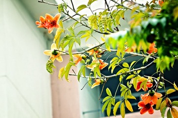 DSC_4195.jpg