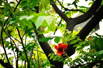 DSC_4198.jpg