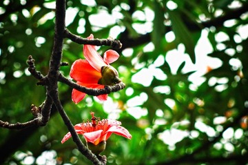 DSC_4209.jpg