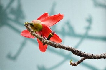 DSC_4214.jpg