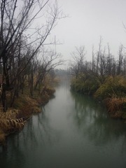 西溪湿地