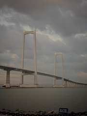 1000027687