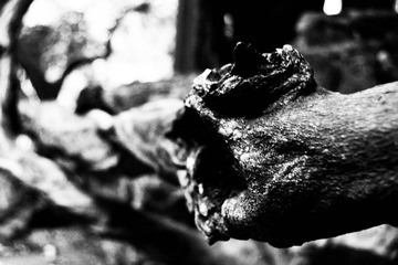 DSC_0017_2