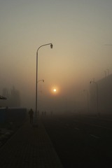 晨