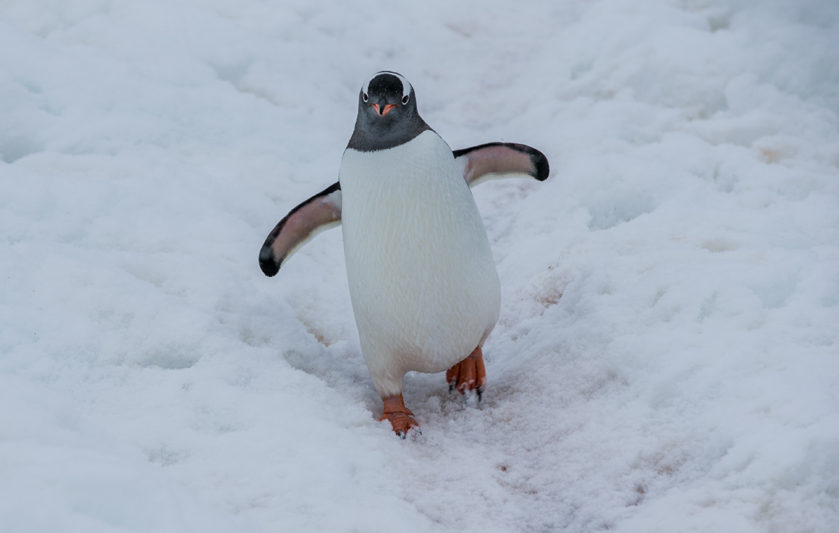 我滴正面照如何