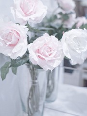 IMG_2696_副本.jpg
