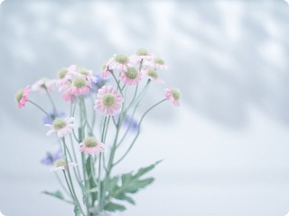 IMG_2782_副本.jpg