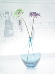 IMG_2786_副本.jpg