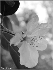 DSC02005 1