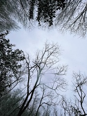 472FEB8A-3070-4FDD-8F57-075AC8DBD1AD/L0/001