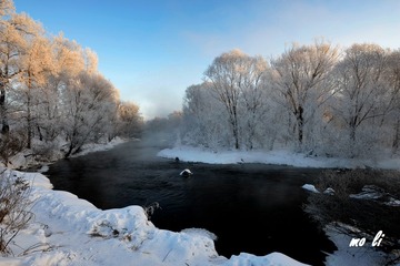 _QJ89372