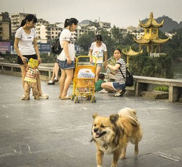 “_DSC2878”为智能对象-1