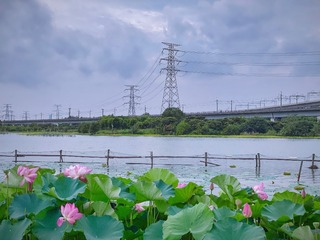 83E530A5-F6AE-40E7-8AAA-6ACDB6517F75/L0/001