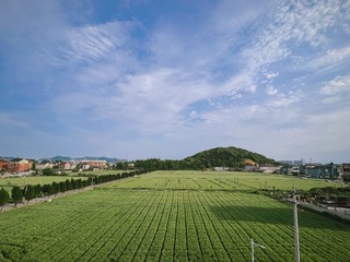 E4A86737-E70F-44B3-9E1D-B2AE9222C01B/L0/001