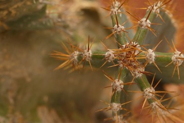 P1020520