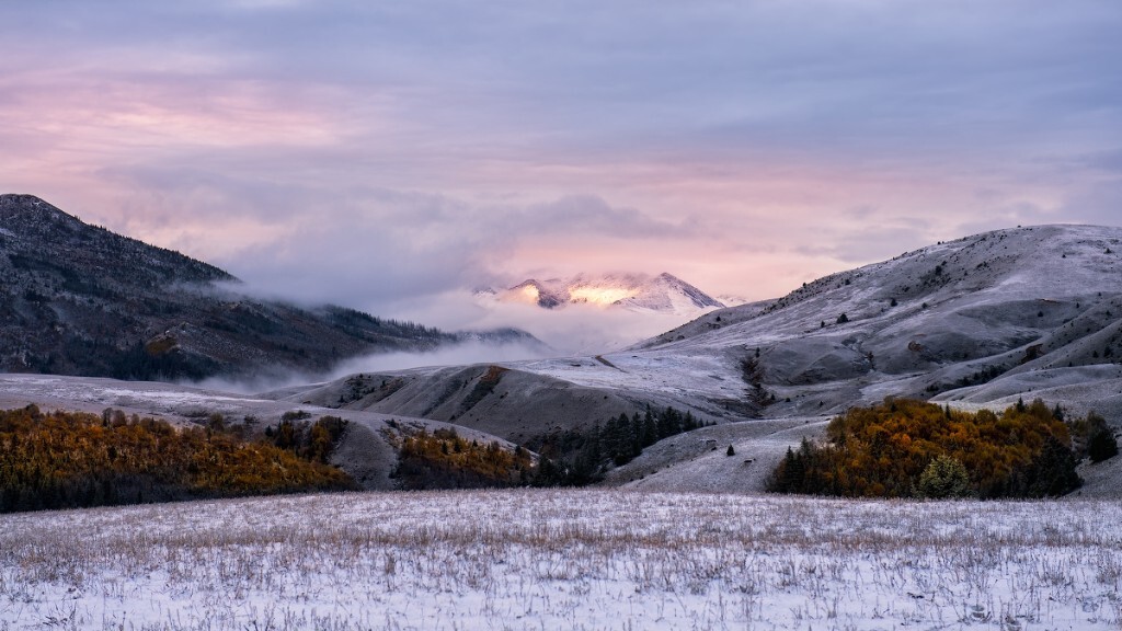 那山<br />
那水<br />
那雪花<br />
<br />
咫尺<br />
尔后天涯......