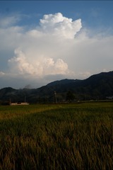 B52CB726-D064-445E-8F43-4E3EC45D13F5/L0/001