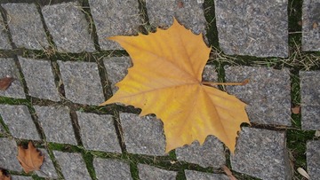 P9272374