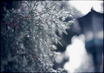 Untitled-27.jpg