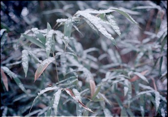 Untitled-34.jpg