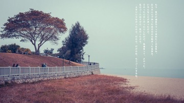 L1001560