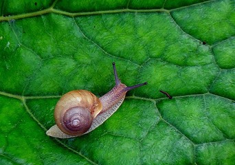 DSC00160_副本.jpg