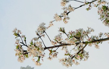 DSC00062_副本.jpg