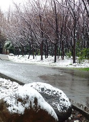 DSC01252_旋转_副本.jpg