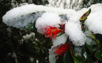 DSC01240_副本.jpg