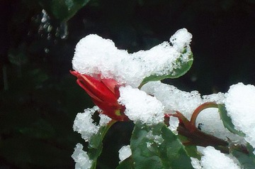 DSC01242_副本.jpg