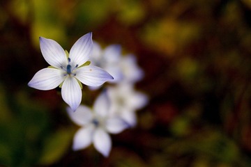 _DSC2021.jpg