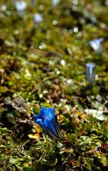 _DSC2123.jpg