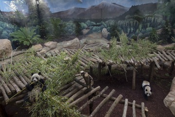IMAG0506.jpg