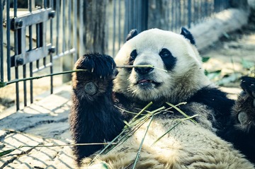 相亲