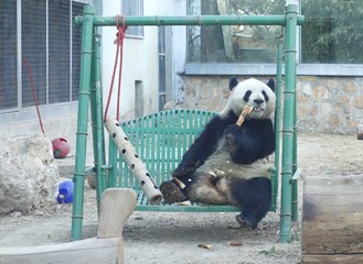 抽烟